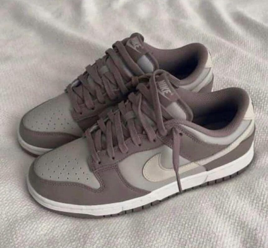 Nike SB Shoes