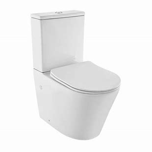Toilet P-Trap 250mm Seat and Cistern