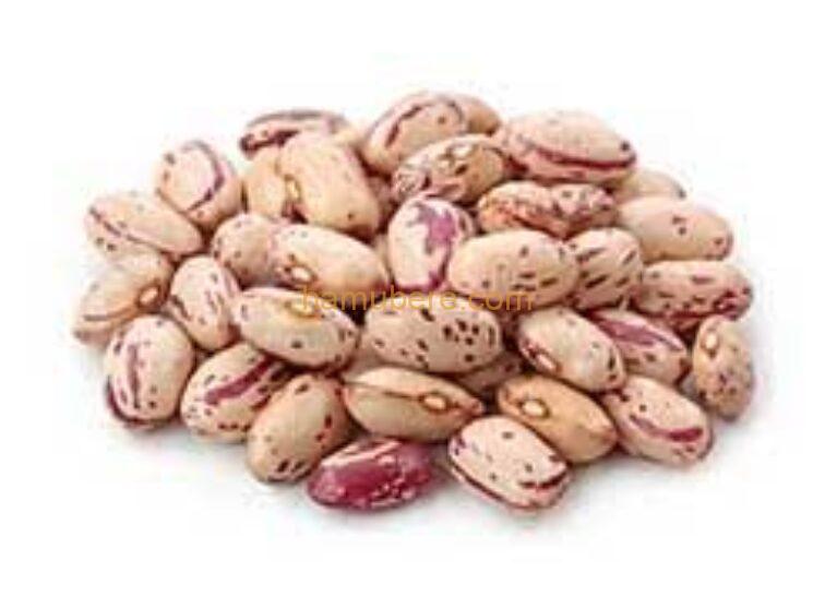 Dry mixed Color beans/ Ibishyimbo byumye