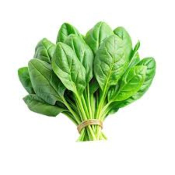Fresh spinach/ bunch