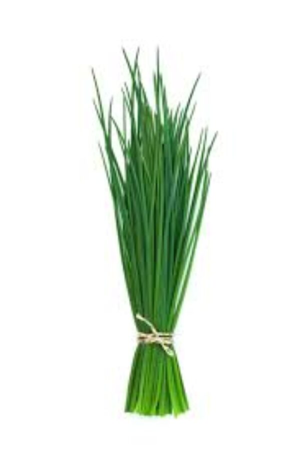 Chive-Ciboulette/bunch